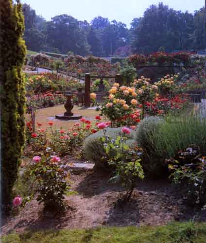images/calverly.jpg