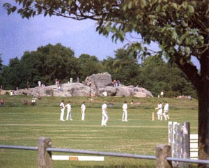 images/cricket.jpg